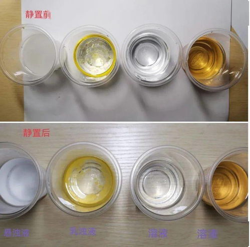 展學(xué)科實踐性作業(yè) 亮航中學(xué)子風(fēng)采